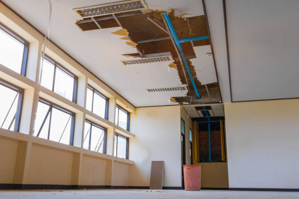 Best Water damage restoration services  in Mount Shasta, CA