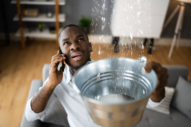 Best Local water damage restoration  in Mount Shasta, CA