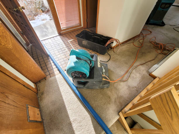 Best Carpet water damage restoration  in Mount Shasta, CA