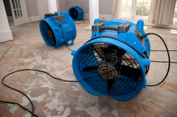 Best Emergency water damage restoration  in Mount Shasta, CA