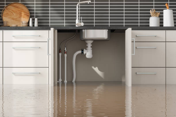 Best Water damage contractors near me  in Mount Shasta, CA