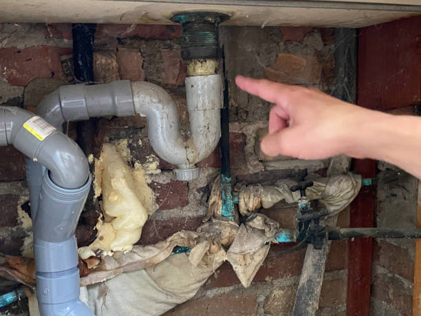 Best Flooded house restoration  in Mount Shasta, CA