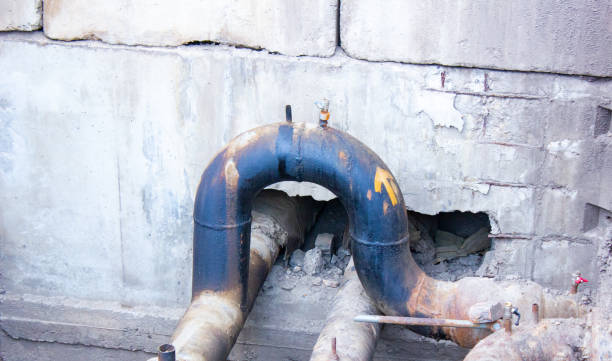 Best Professional water damage repair  in Mount Shasta, CA
